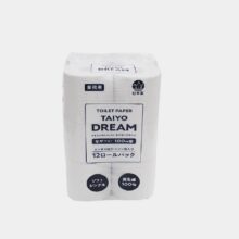 S タイヨードリーム 12R(100m)